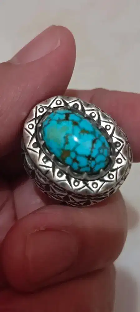 Pyrus persia joss