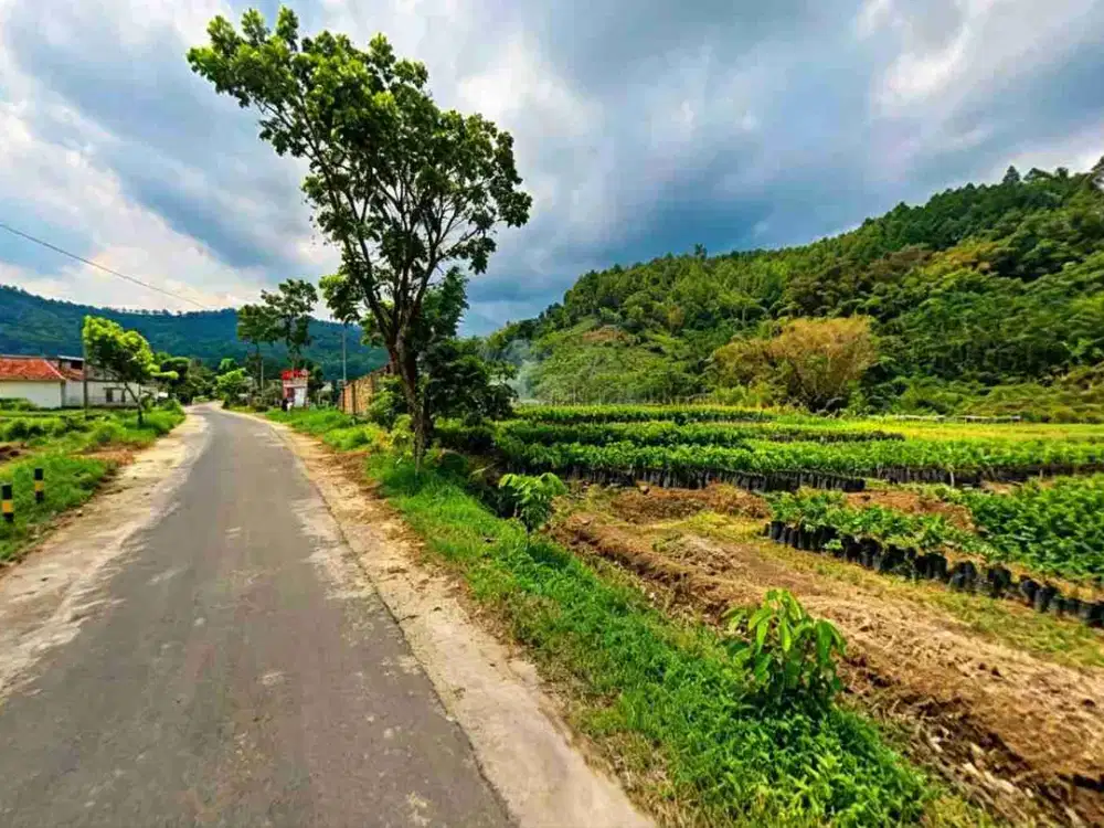TANAH VIEW SURGA LOKASI GUNUNG SARI KOTA BATU