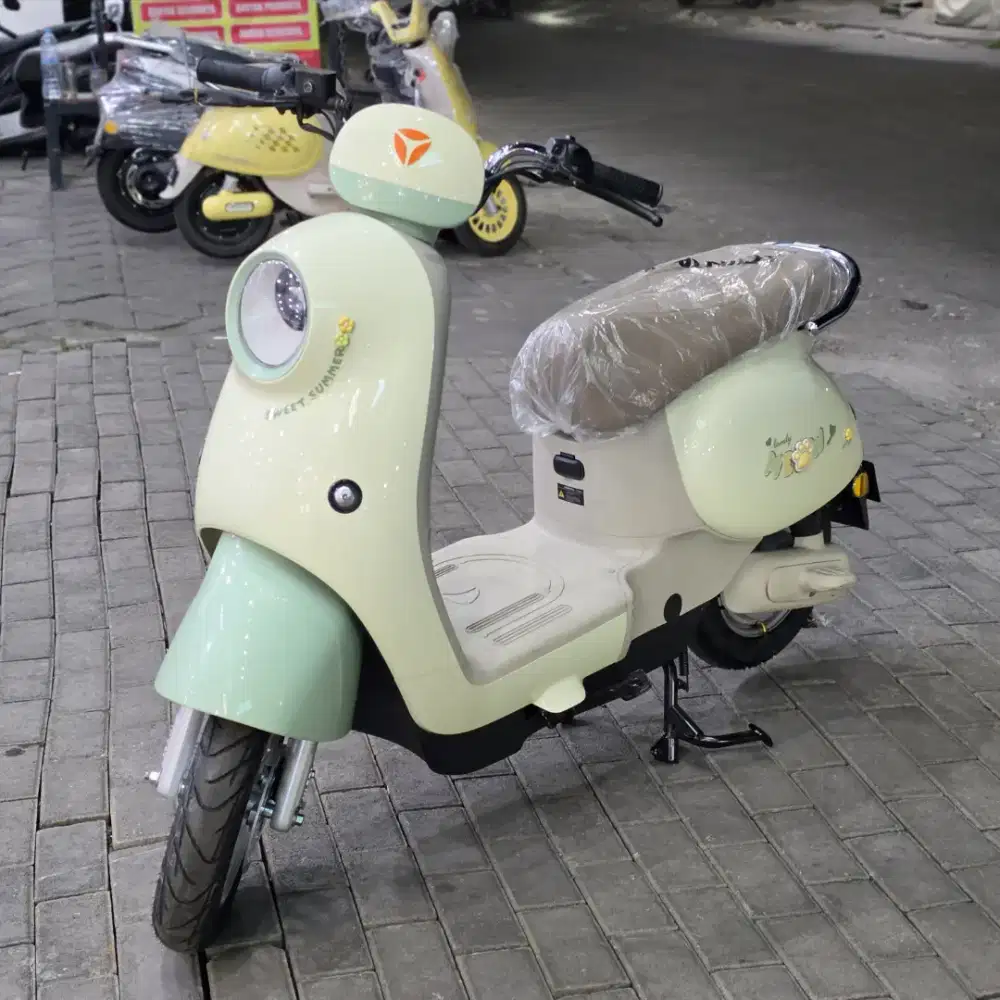 Ready Sepeda Listrik Murah Meriah