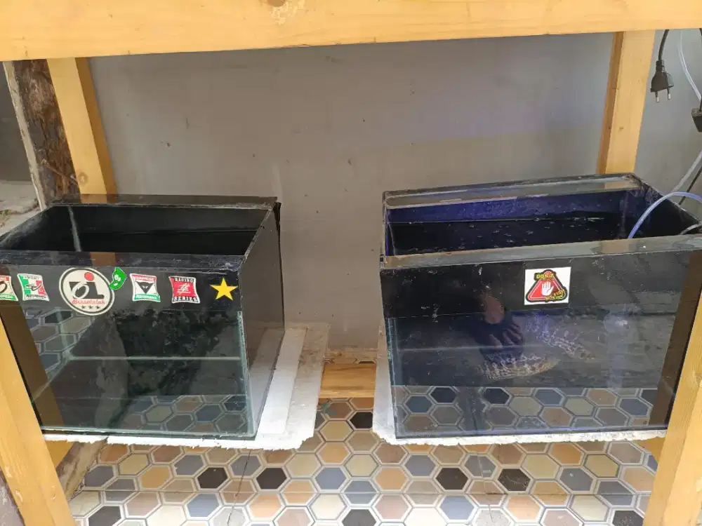 Aquarium ikan hias