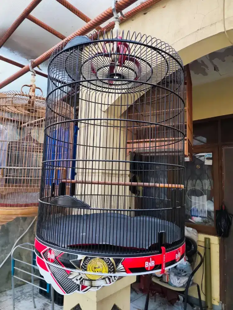 Jual kandang burung muray