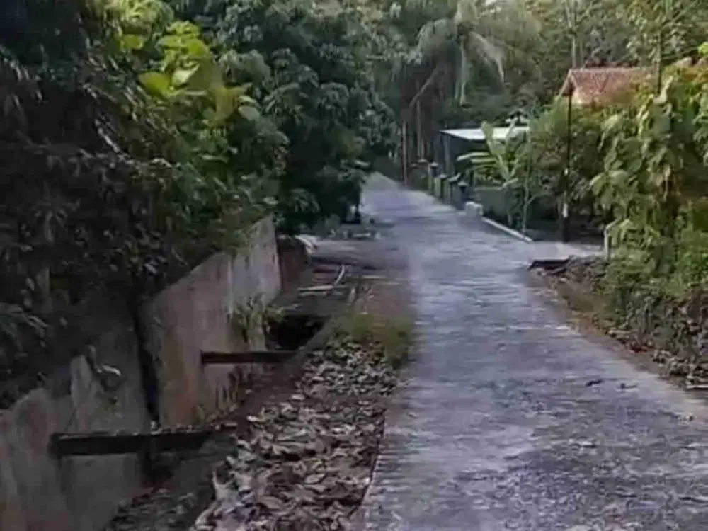 Jual Cepat Tanah Murah Di Gulurejo Lendah Kulon Progo