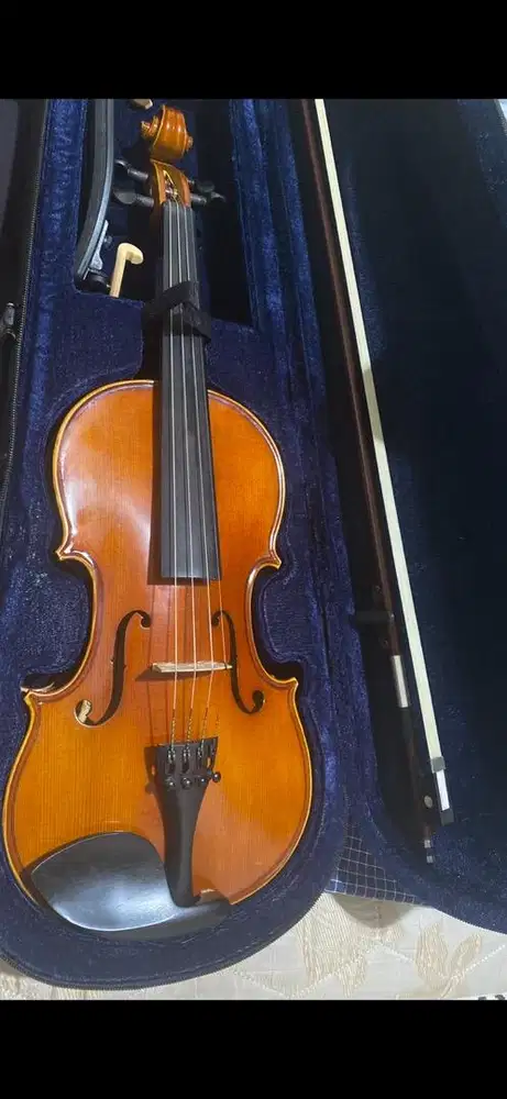 Biola 4/4 Allfourstrings Biola Solid wood
