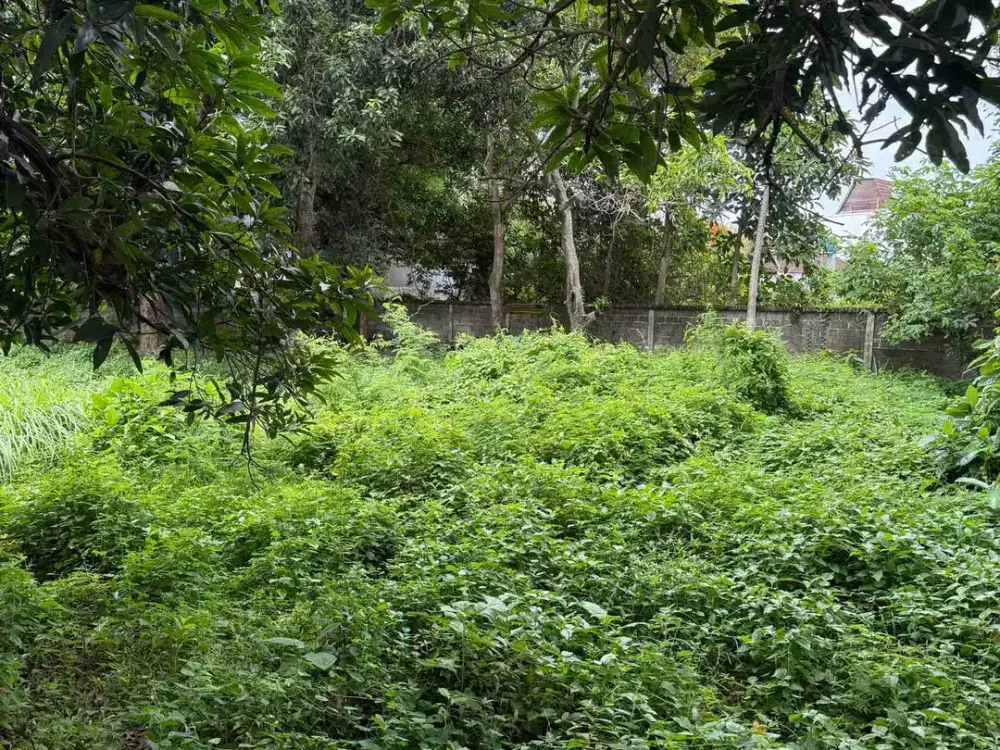 Tanah Premium Dekat Pantai Jimbaran Tuban Kuta