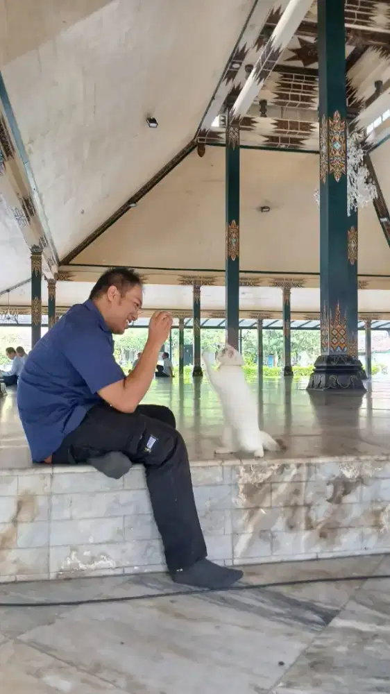 Mencari pekerjaan sampingan