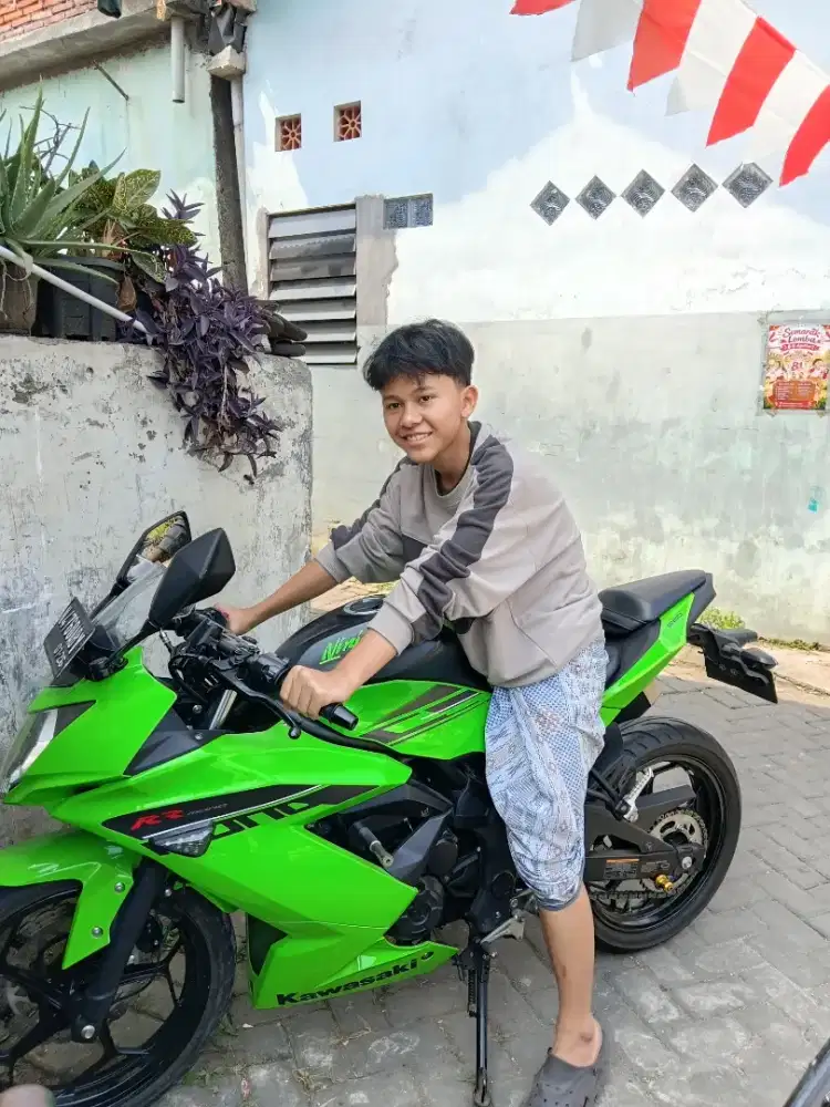 Ninja 250 cc Mono 1silender