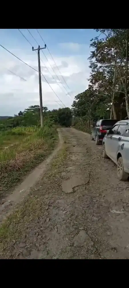 Di jual lahan strategis murah 30 hektar
