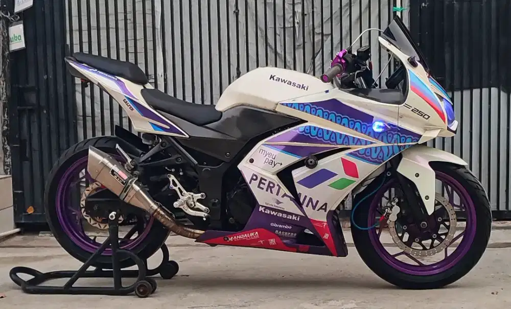 Kawasaki Ninja 250