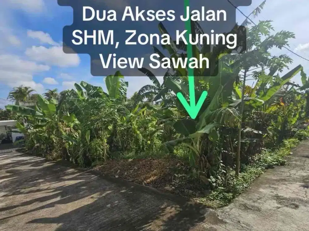 SALE Tanah Hook 310 M² View Sawah Tumbak Bayuh