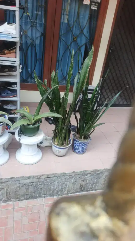 Cari mba jaga anak