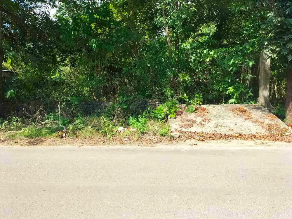 Tanah 20x45 Depan Jalan Aspal Dekat Polsek Parangloe, Bilibili