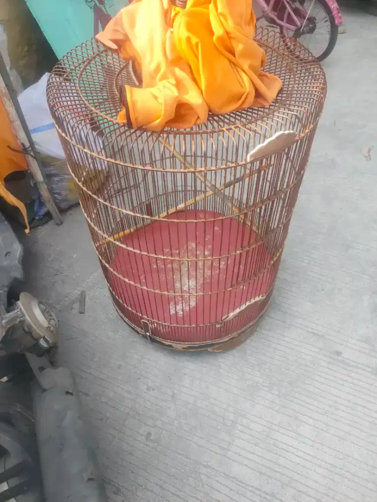 Mahar Tuker burung ok