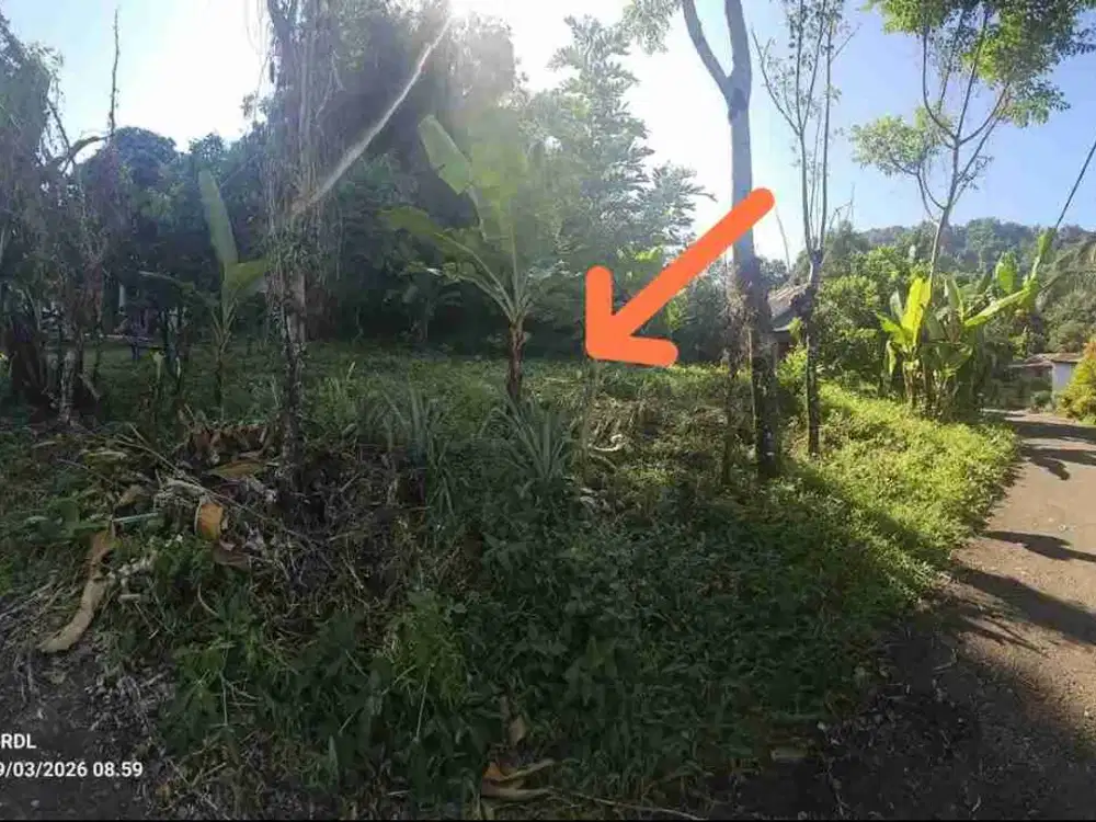 Kebun 600 M2 depan Aspal Dekat Bilibili