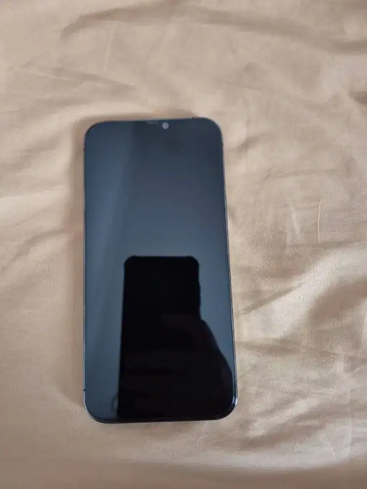 Iphone 12 Pro Max Dark Grey