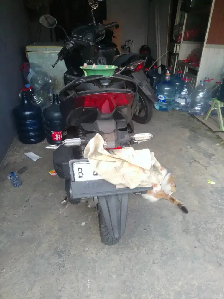 Vario 150 THN 2018