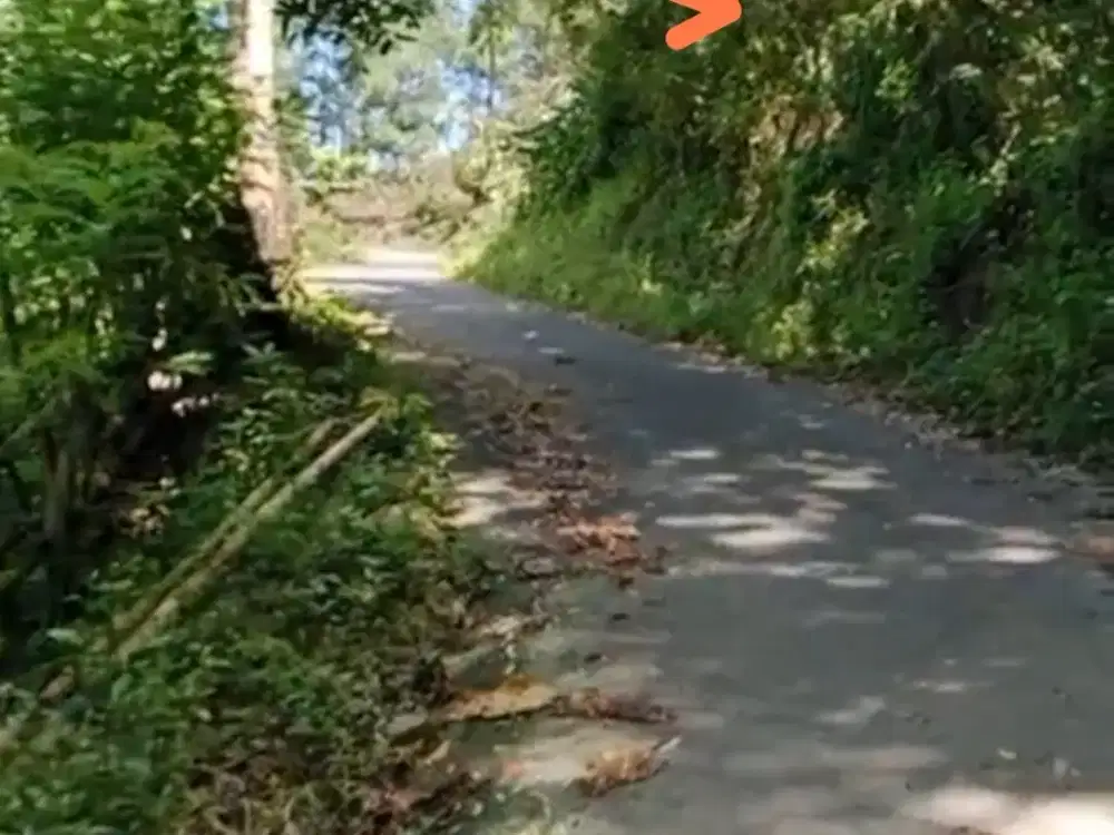 Kebun Jati 2 Hct Pinggir Jalan Aspal Dekat Malino