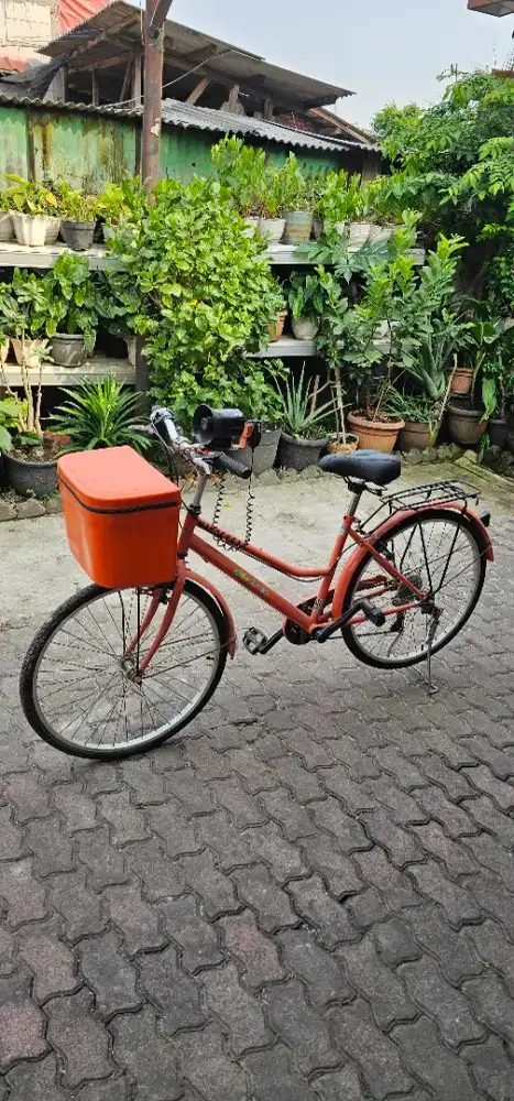 Sepeda box depan
