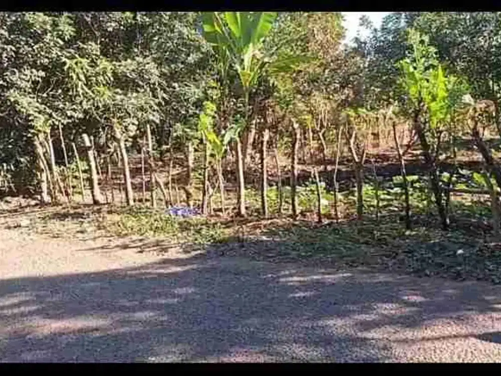 Kebun Strategis Dekat Bilibili
