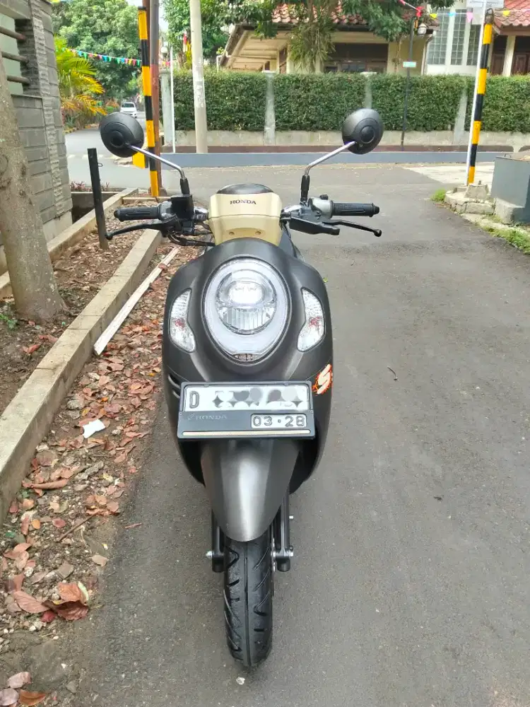 Scoopy fashion tahun 2023