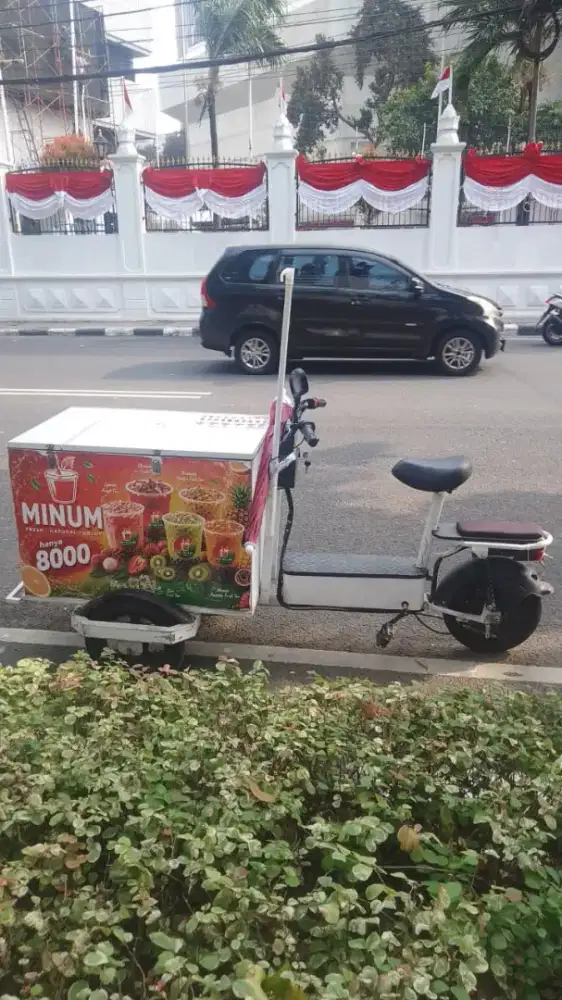 Gerobak Sepeda Listrik Untuk Jualan