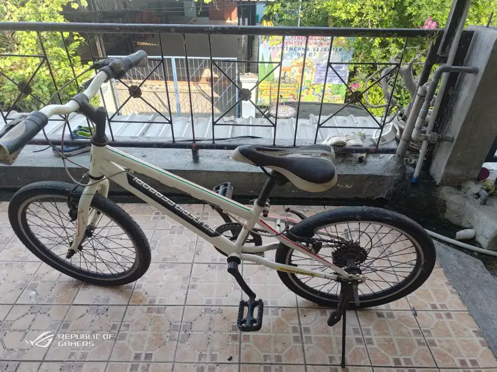 Jual Sepeda Anak