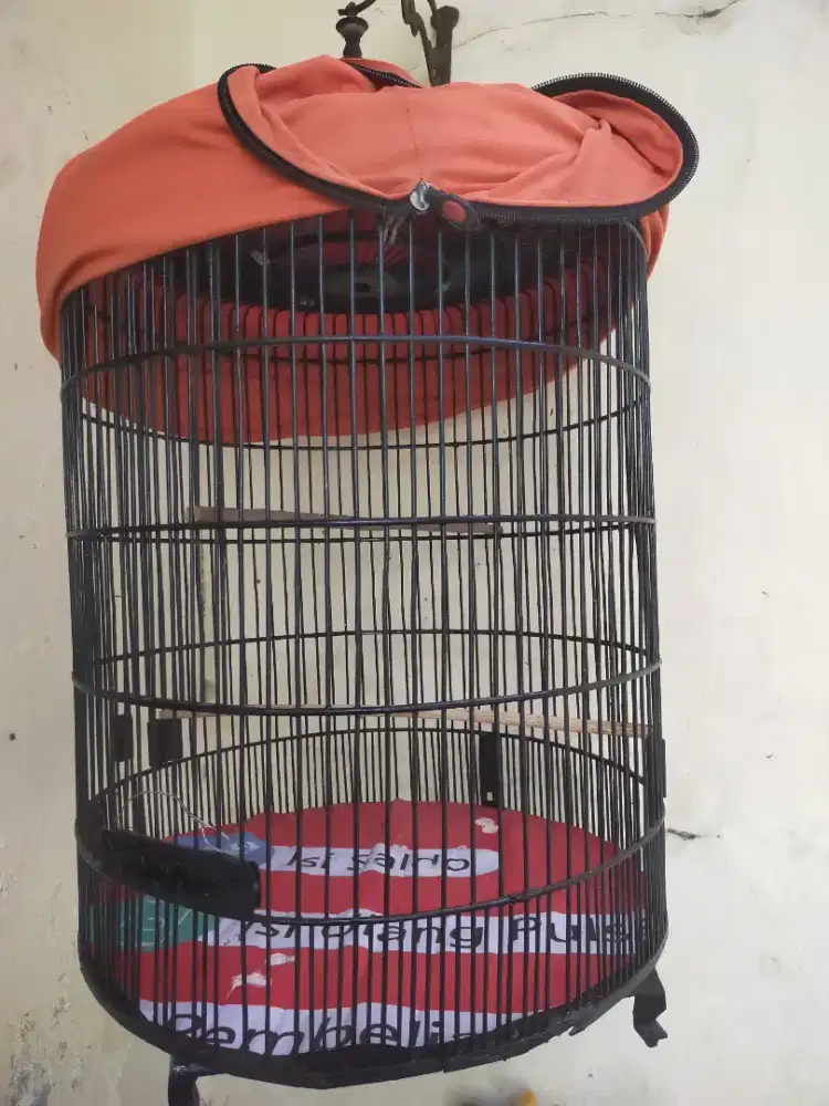 Kadang Bulat harian