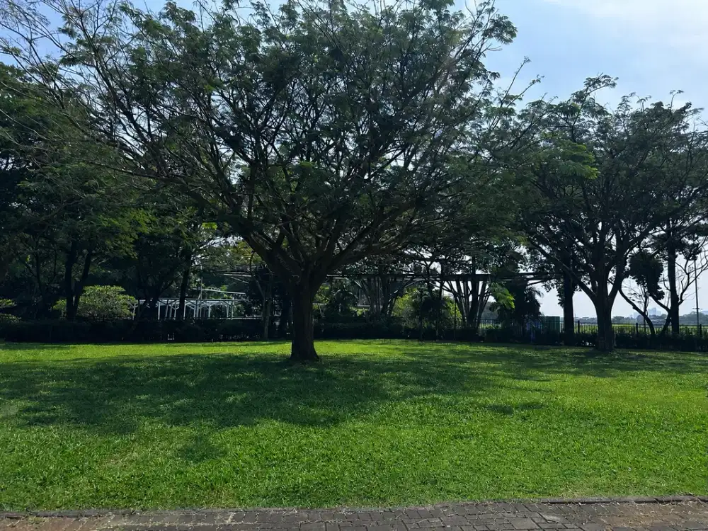 Kavling Premium BSD City – De Park Cajuputi 478 m² | Lokasi Strategis & Siap Bangun