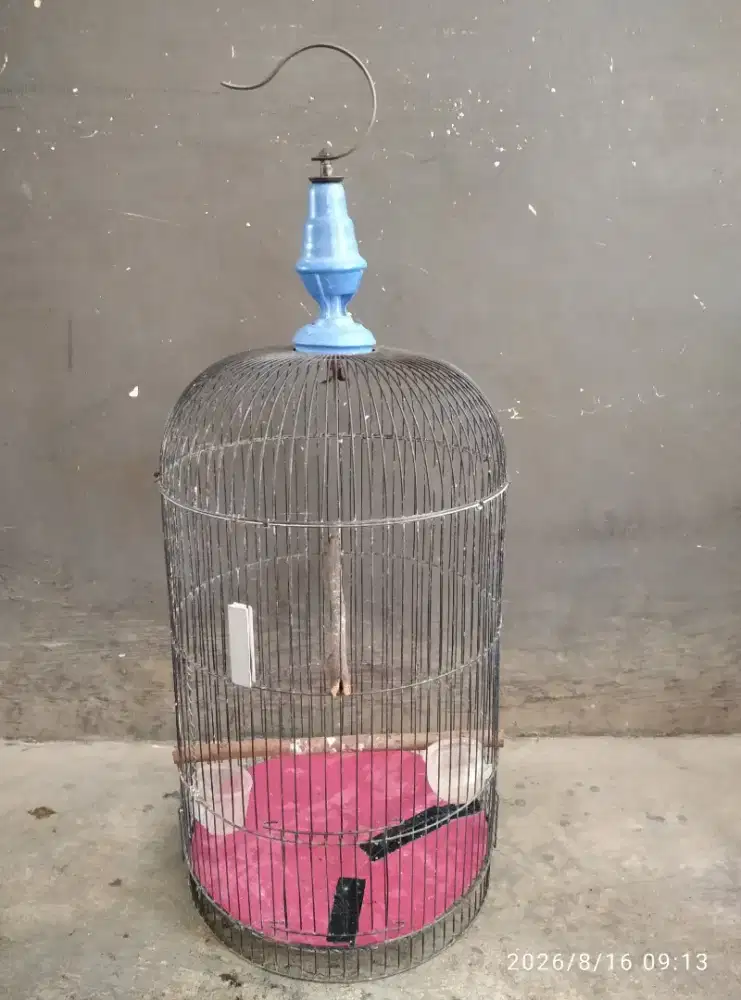Kandang bekas burung lovebird layak pakai No tebok