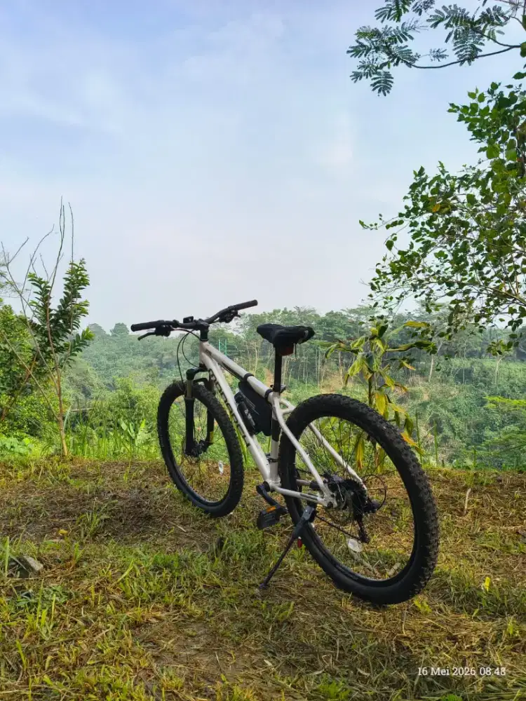 Sepeda polygon monarch 275
