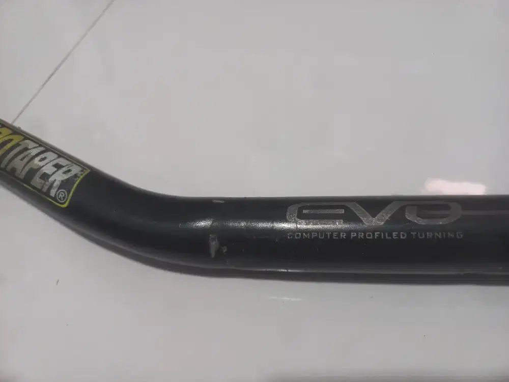 stang protaper evo