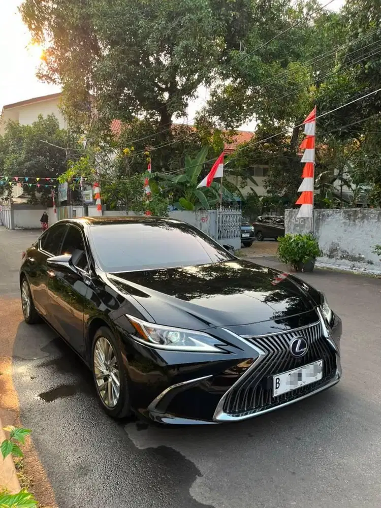 Lexus Es300h 2019 Antik
