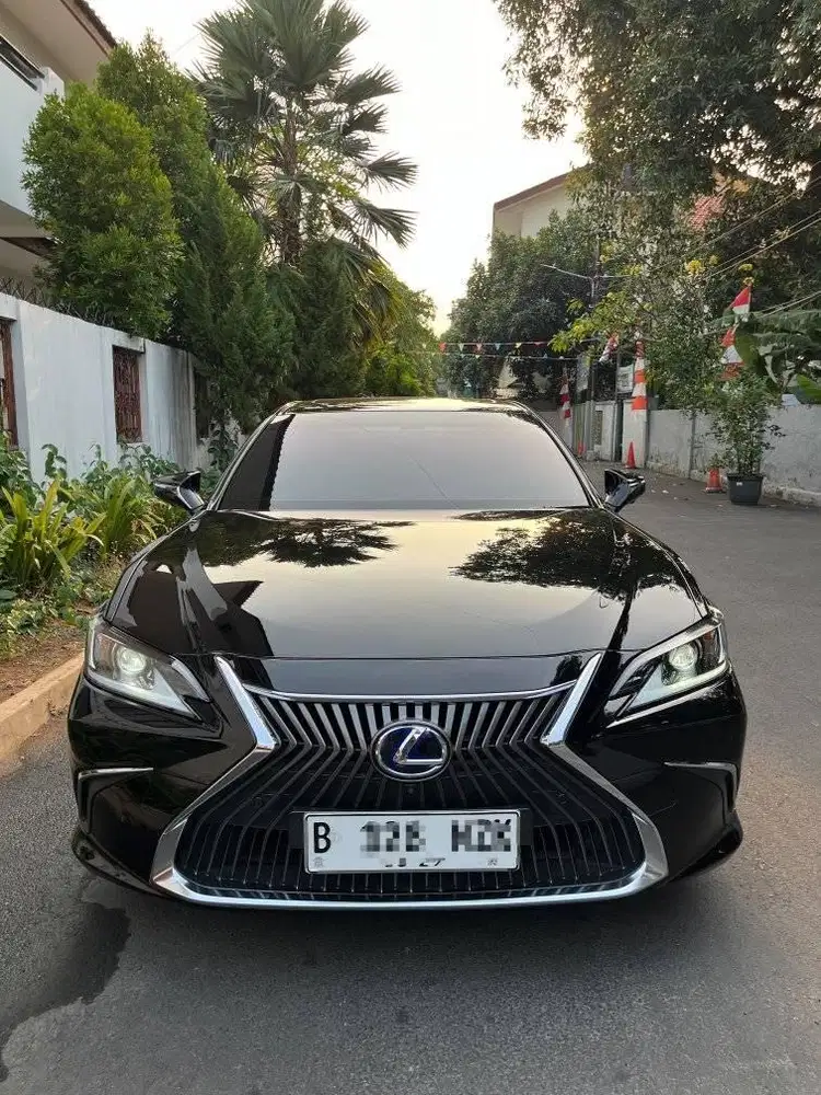 Lexus Es300h 2019 antik