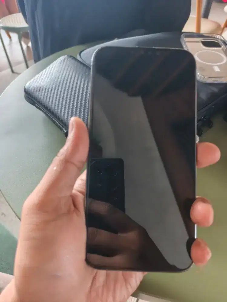 Iphone 13 promax