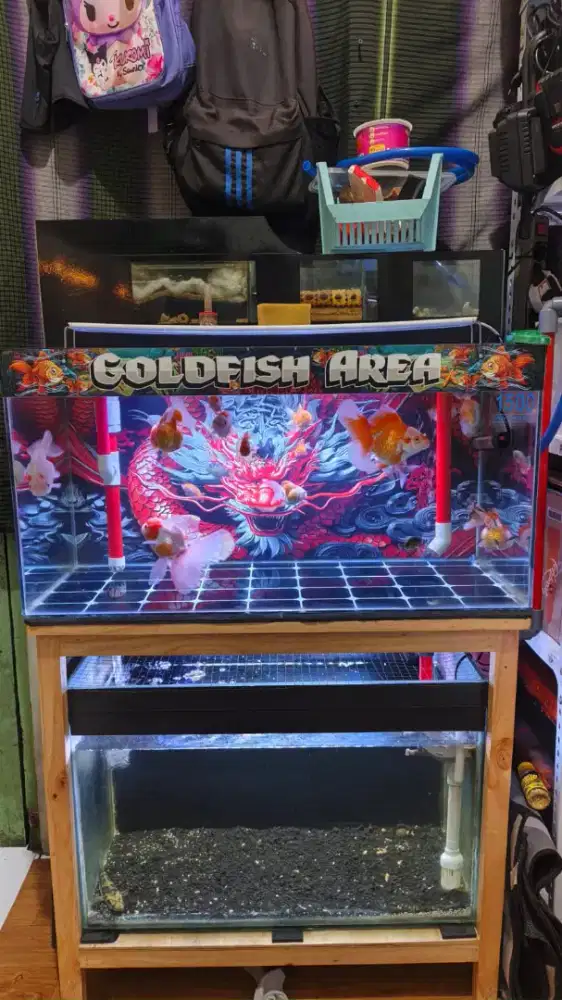 Ikan dan aquarium
