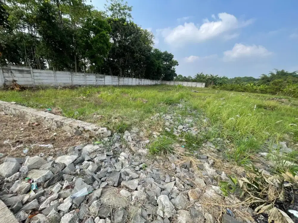 Tanah Pinggir Jalan 100Jtan di Cisauk - SHM - Cocok Invest/Hunian - Dekat Stasiun Jatake