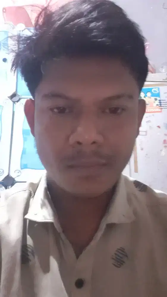 Saya sendang mencari kerja
