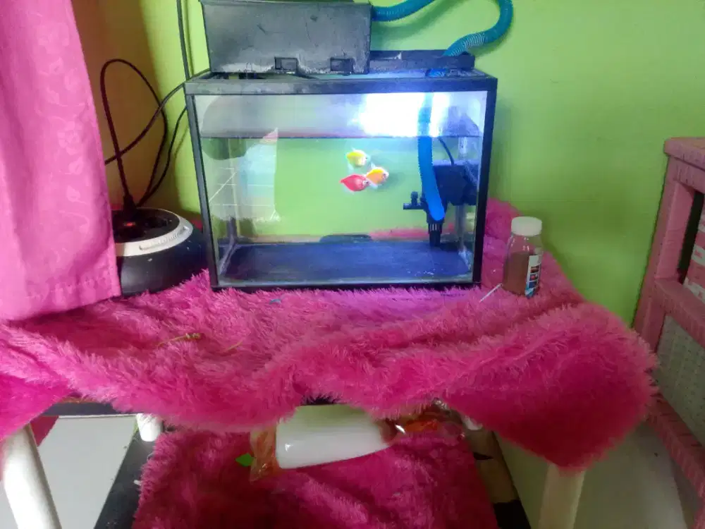 Jual Aquarium+meja