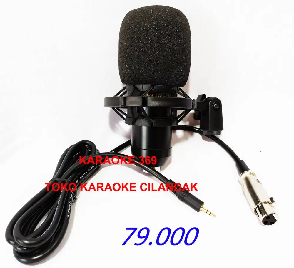 mic model bulat cocok buat panggung
