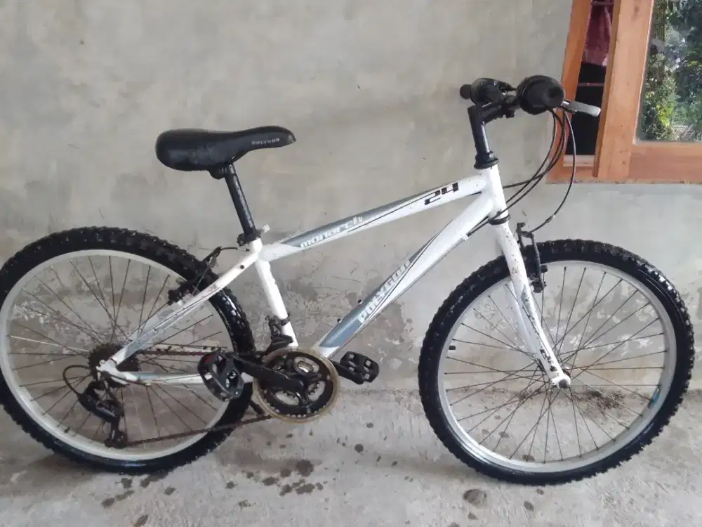 Sepeda Polygon monarch 24