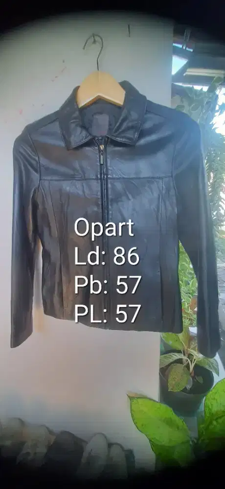 Jaket kulit asli minus