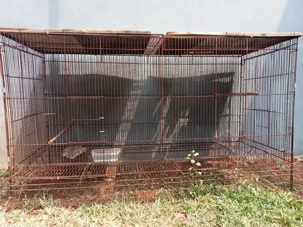 kandang besi umbaran 1,5 M atau sangkar burung besar bisa sekat 2sang