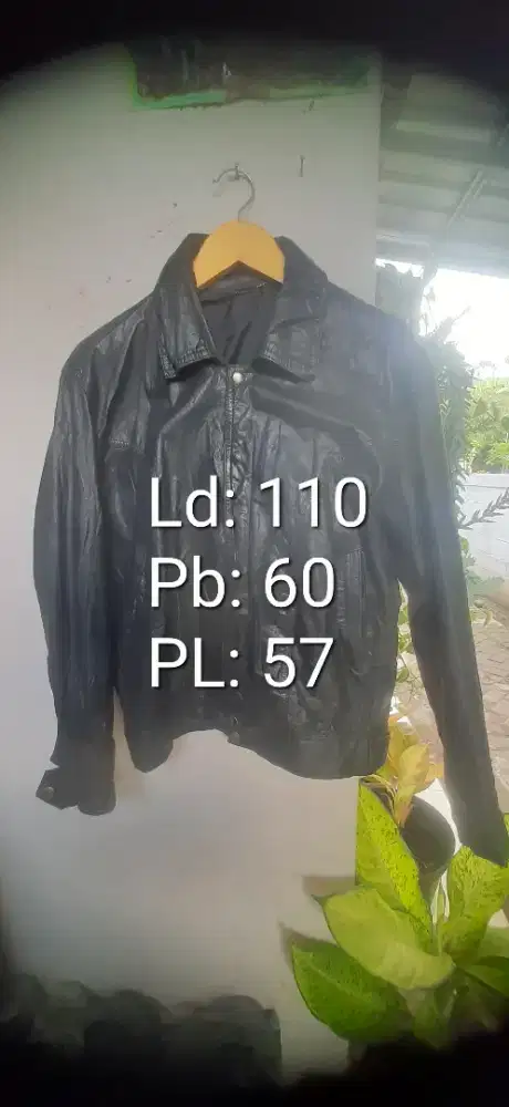 Jaket kulit asli