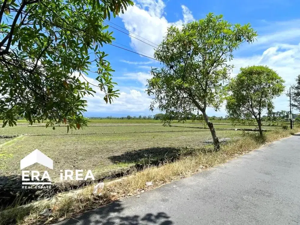 Dijual tanah sawit boyolali dekat Jalan raya Solo Jogja