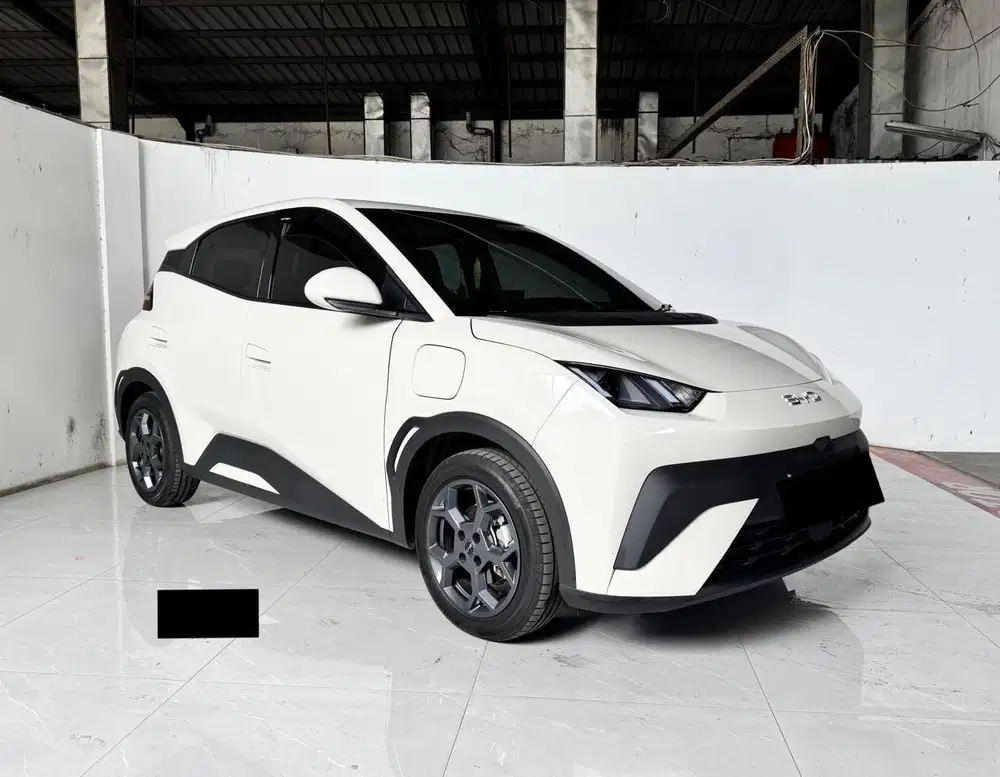 BYD ATTO 1 PREMIUM EV AT KM 6.500