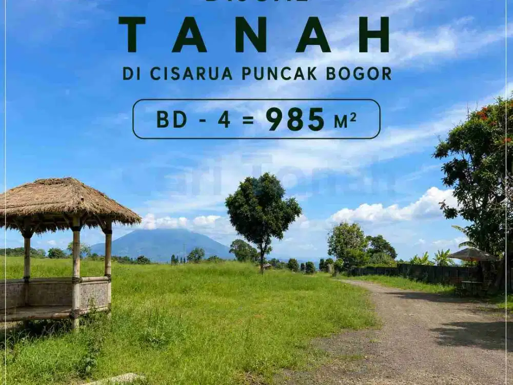 Tanah cocok untuk villa di puncak bogor view bukit