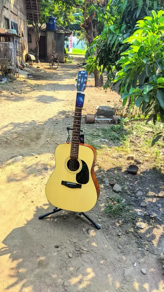 Gitar Akustik Cort AD810 High Quality Baru