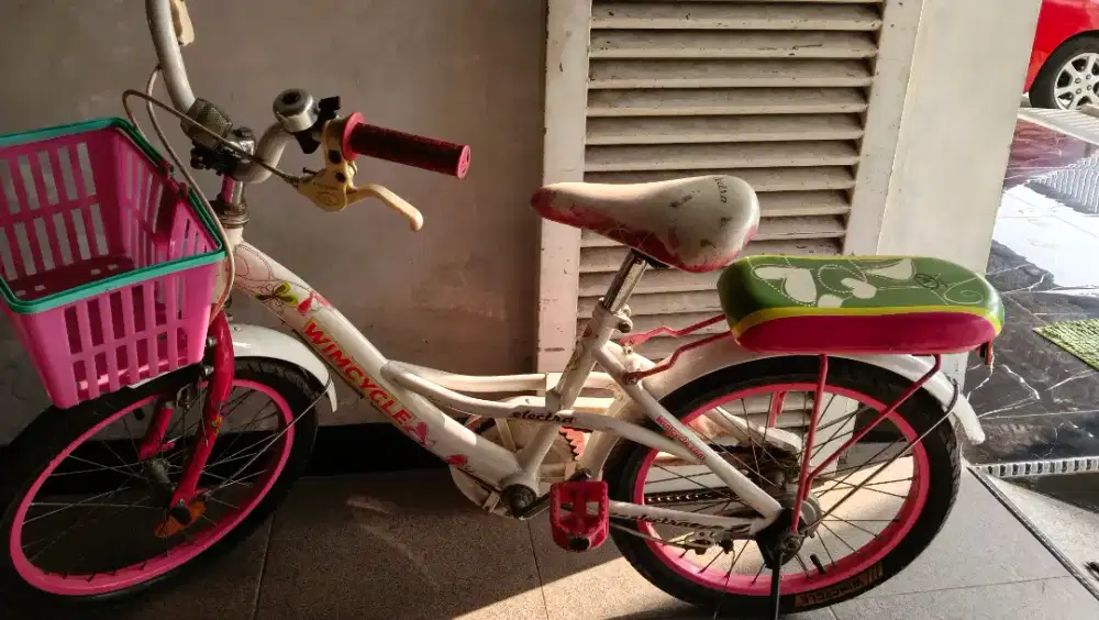 Sepeda anak wimcycle