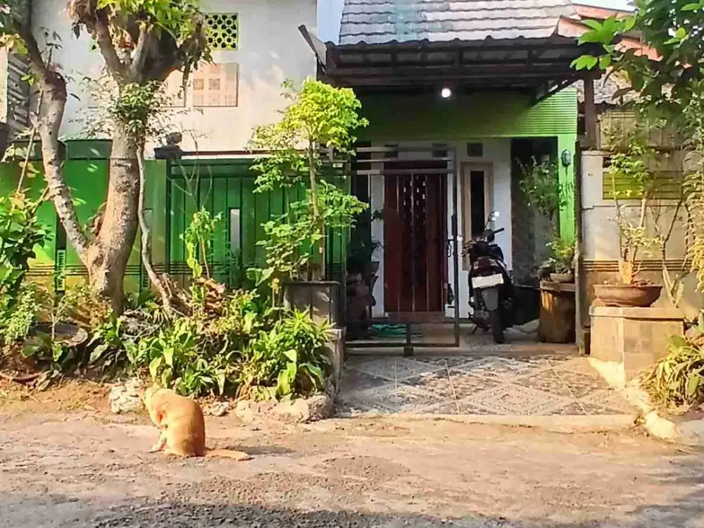 Dijual rumah termurah di Citra Indah City