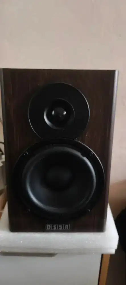 DS5a Speaker Flat Recording