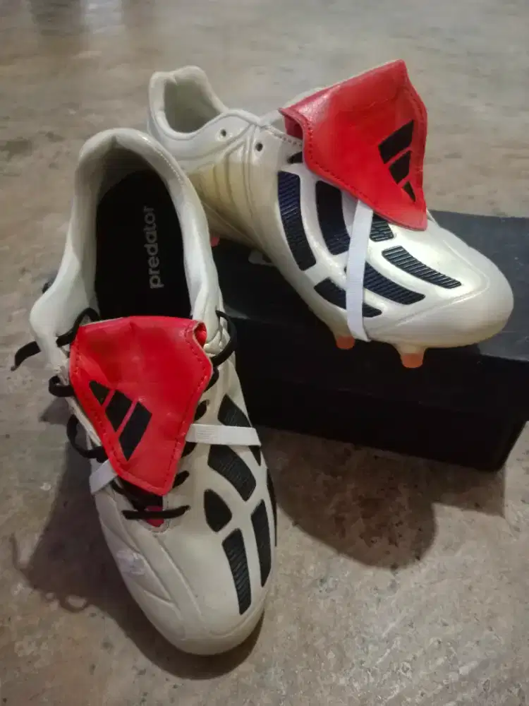Adidas predator champage